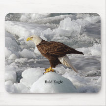 Bald Eagle mousepad