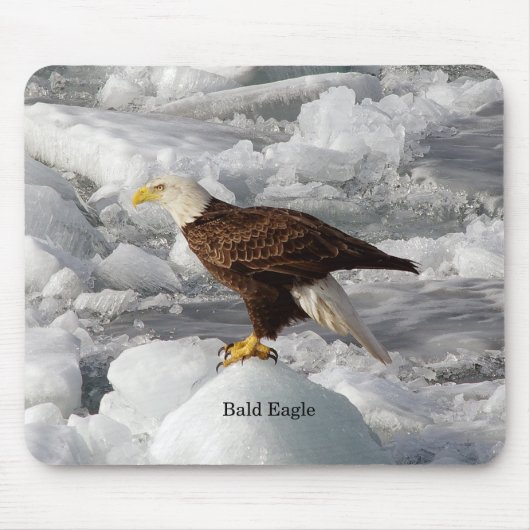 Bald Eagle mousepad Muismat (Voorkant)