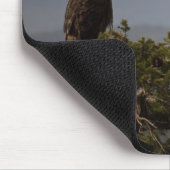 Bald Eagle - Mousepad Muismat (Hoek)