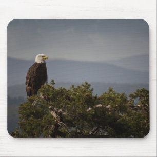 Bald Eagle - Mousepad Muismat