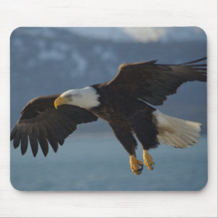 Bald Eagle Muismat