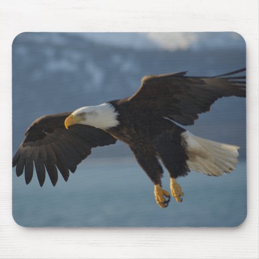 Bald Eagle Muismat (Voorkant)