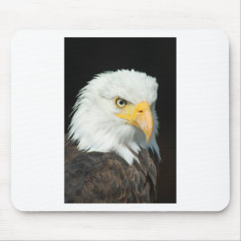 Bald Eagle Muismat