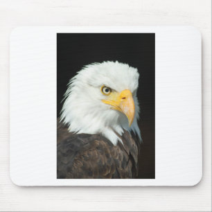 Bald Eagle Muismat