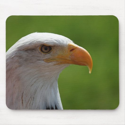 Bald eagle muismat (Voorkant)