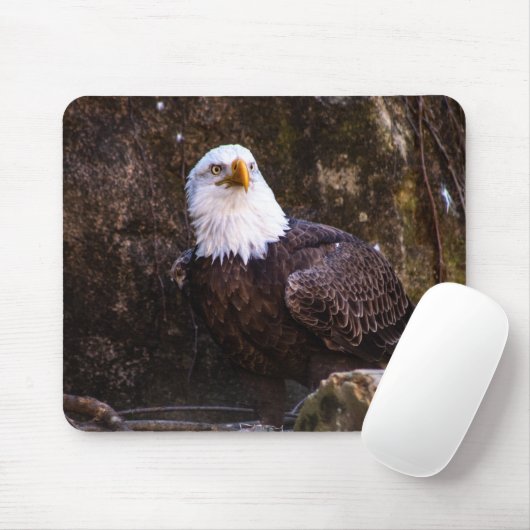 Bald Eagle Muismat (Met muis)