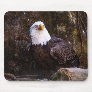 Bald Eagle Muismat