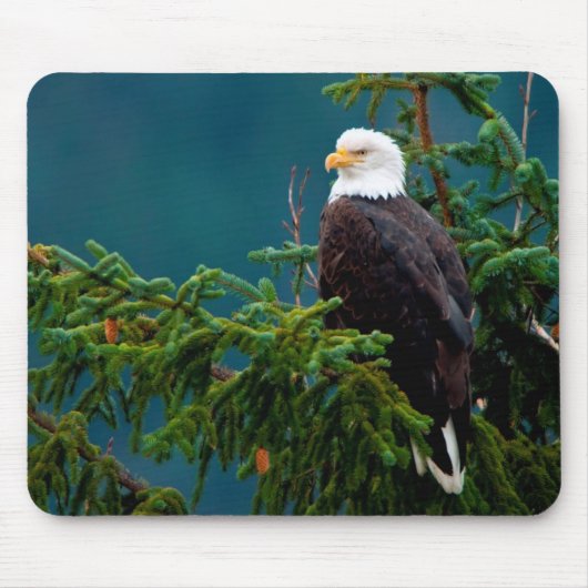 Bald Eagle Muismat (Voorkant)