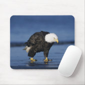 Bald Eagle Muismat (Met muis)