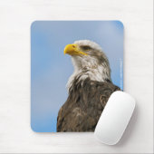Bald Eagle Muismat (Met muis)