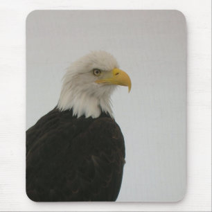 Bald Eagle Muismat
