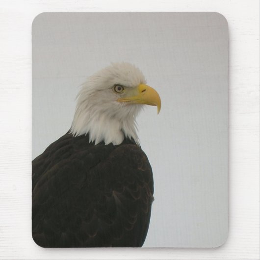 Bald Eagle Muismat (Voorkant)