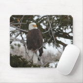 Bald Eagle Muismat (Met muis)