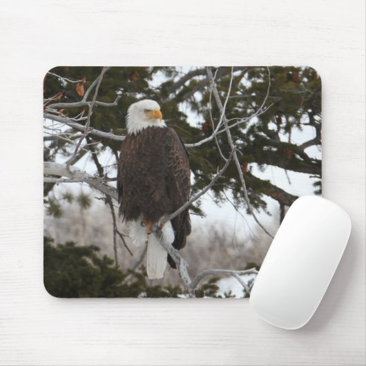 Bald Eagle Muismat (Met muis)