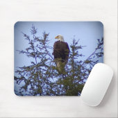 Bald Eagle Muismat (Met muis)