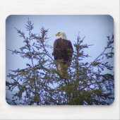 Bald Eagle Muismat (Voorkant)