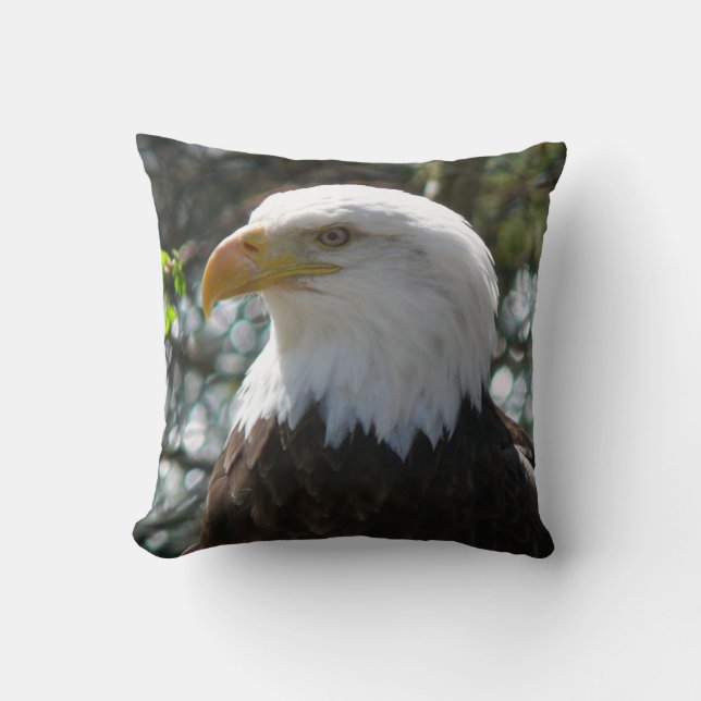 Bald Eagle - National Bird of the United States Kussen (Voorkant)