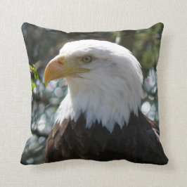 Bald Eagle - National Bird of the United States Kussen