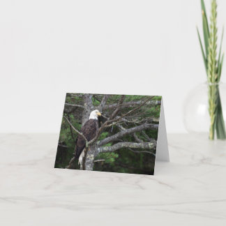 Bald Eagle Note Card Kaart