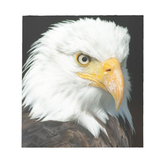 Bald Eagle Notitieblok (Voorkant)
