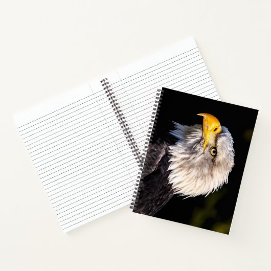 Bald Eagle Notitieboek (Binnen)