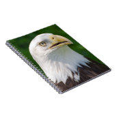 Bald Eagle Notitieboek (Rechterzijde)