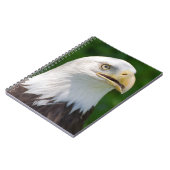 Bald Eagle Notitieboek (Linkerzijde)