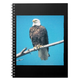 Bald Eagle Notitieboek