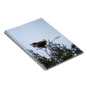 Bald Eagle Notitieboek (Rechterzijde)