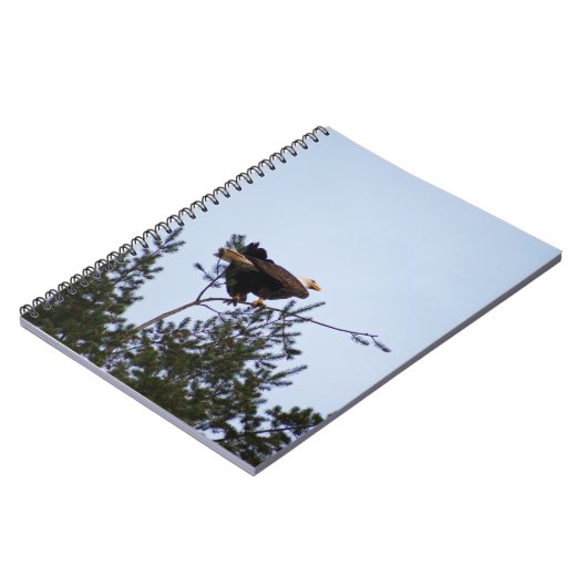 Bald Eagle Notitieboek (Linkerzijde)
