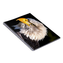 Bald Eagle Notitieboek