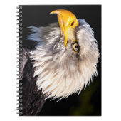 Bald Eagle Notitieboek (Voorkant)