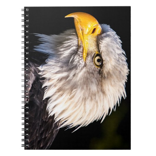 Bald Eagle Notitieboek (Voorkant)
