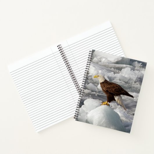 Bald Eagle notitieboek (Binnen)