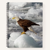 Bald Eagle notitieboek (Voorkant)