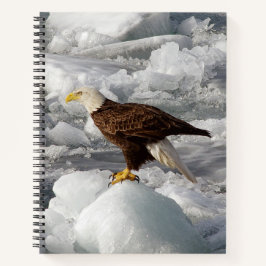 Bald Eagle notitieboek