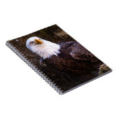Bald Eagle Notitieboek (Rechterzijde)