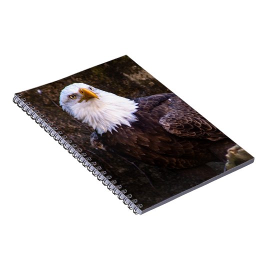 Bald Eagle Notitieboek (Rechterzijde)