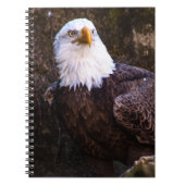 Bald Eagle Notitieboek (Voorkant)