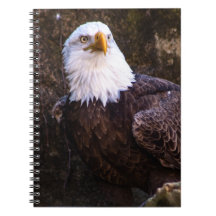 Bald Eagle Notitieboek