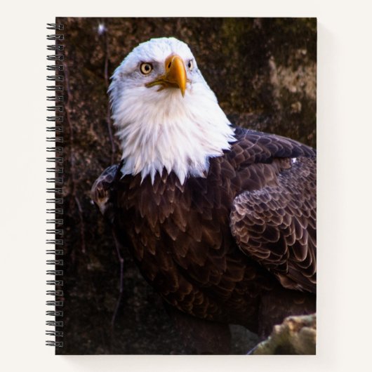 Bald Eagle Notitieboek (Voorkant)