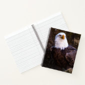 Bald Eagle Notitieboek (Binnen)