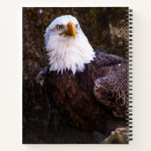 Bald Eagle Notitieboek (Achterkant)