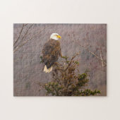 Bald Eagle Nova Scotia Canada. Legpuzzel (Horizontaal)