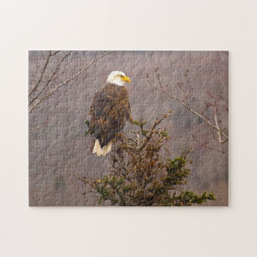 Bald Eagle Nova Scotia Canada. Legpuzzel (Horizontaal)