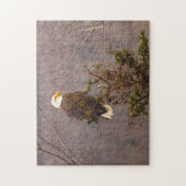 Bald Eagle Nova Scotia Canada. Legpuzzel (Verticaal)