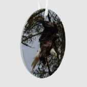 Bald Eagle of Alaska U.S.A. Ornament (voorkant)