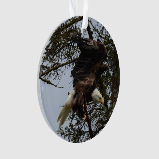 Bald Eagle of Alaska U.S.A. Ornament (voorkant)