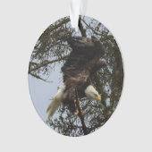 Bald Eagle of Alaska U.S.A. Ornament (voorkant)
