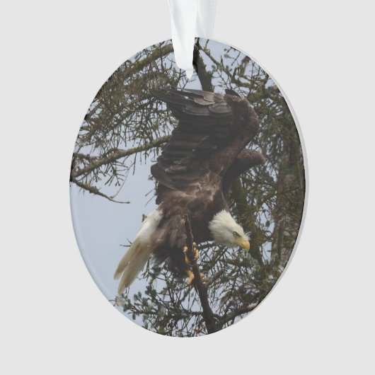 Bald Eagle of Alaska U.S.A. Ornament (voorkant)